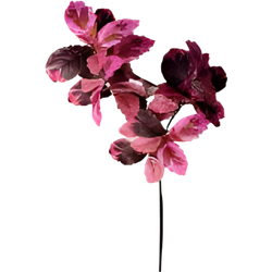 Berkenblad roze rood 120 cm