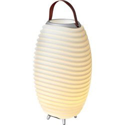 KOODUU Synergy 65 Stereo Luidspreker, LED Licht, Wijnkoeler en Bluetooth Geluidssysteem