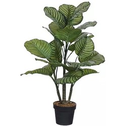 Calathea kunstplant