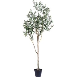 Greenmoods Olijfboom  - Olea europaea - Nep plant - 1 Stuk - 180cm - Groen -