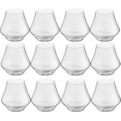 Royal Leerdam Whiskey glazen Artisan - 16x stuks - 290 ml - Drinkglazen