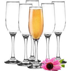 Glasmark Champagneglazen - 6x - Rocroi - 200 ml - glas - flutes - Champagneglazen