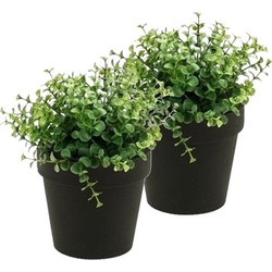 2x Groene kunstplant eucalyptus plant in pot - Kunstplanten