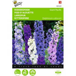 2 stuks - Delphinium cultorum Giant Pacific - Buzzy