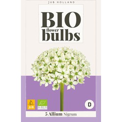 Allium nigrum - bio