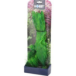 Plantasy set 1 decoratie planten
