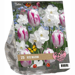 2 stuks - Urban Flowers Ice blush per 15