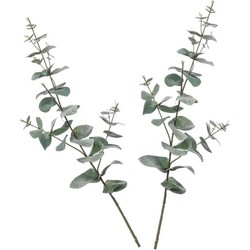 2 stuks Eucalyptus kunstbloemen takken 68 cm decoratie - Kunstplanten