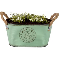 Sunnydays Teil/plantenpot - zink - jadegroen - L24 x D14 x H12 cm - IJzeren emmer / teil