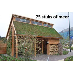 Minimaal 75 stuks! Sedummixmat T Compleet (incl. drainage type 11c & daktuinsubstraat) per 1.2 m2 max. 45 graden