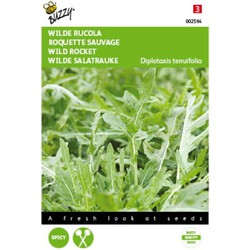 2 stuks - Rucola Selvatica