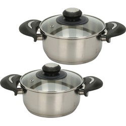 Excellent Houseware Kookpannen set - 2x - glazen deksel - RVS - 3.5 en 5.4 liter - Kookpannen