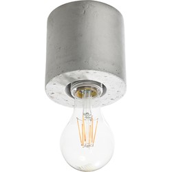 Industriële Plafondlamp Engstrom Grijs