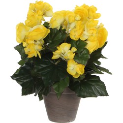 Mica Decorations Kunstplant - Begonia - geel - 30 cm - grijze pot - Kunstplanten