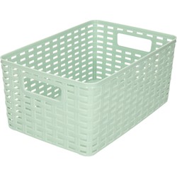 Plasticforte Opbergmand - Kastmand - rotan kunststof - mintgroen - 6 Liter - 19 x 29 x 13 cm - Opbergmanden