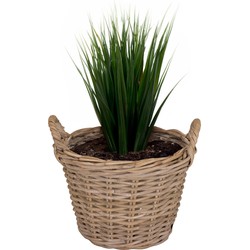 Mega Collections Planten/bloemen mand Levi - rotan - naturel - D35 x H25 cm - plantenpot voor buiten - Plantenpotten