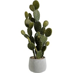 Grote Nep Cactus In Pot 64 cm