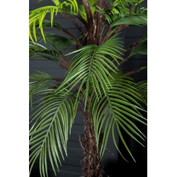 PTMD Kunstplant Palm Tree - 68x86x145 cm - Plastic - Zwart