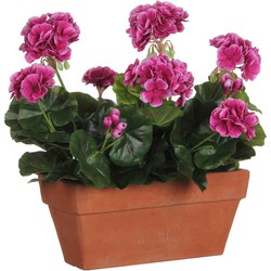 Mica Decorations Geranium Balkonbak - 39x13x40 cm - Terra - Paars