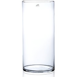 Vaas cilinder - glas - helder - 19 x 37,3 cm - transparant - Vazen