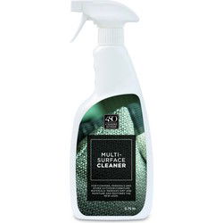 Multi surface cleaner
