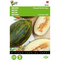 5 stuks - Meloenen Pinonet piel de sapo Tuinplus