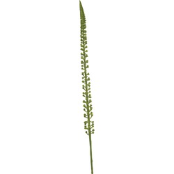 Donkey tail spray green 86 cm Emerald