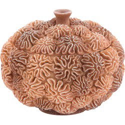 Light & Living - Deco box+deksel CORAL - Ø20x15.5cm - Bruin