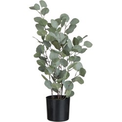 kunstplant eucalyptus xl 60 x ø15