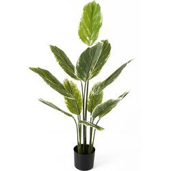 Present Time - Kunstplant Calathea Large - Groen