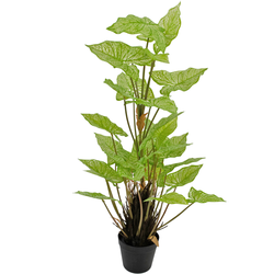 Hoyz Greenery - Kunstplant Trapa Bispinosa 90 cm wit