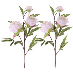 4x stuks pioenroos takken wit kunstbloemen 73 cm - Kunstbloemen