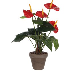 Mica Decorations Anthurium Kunstplant in Bloempot Stan - H38 x Ø30 cm - Rood