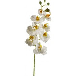 Emerald Kunstbloem Orchidee - 68 cm - wit - losse tak - kunst zijdebloem - Phalaenopsis - Kunstbloemen