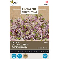 Organic Sprouting Koolrabi rood (BIO) - Buzzy