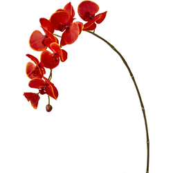 Kunstmatige rode phalaenopsis steel H82