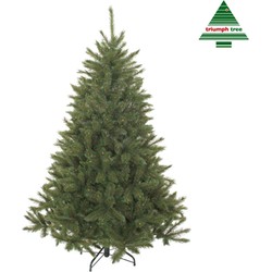 Triumph Tree kunstkerstboom bristlecone maat in cm: 230 x 153 groen