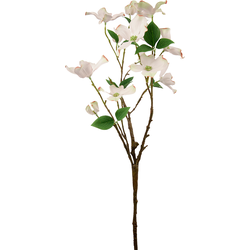 Tige de Dogwood - Rose / 76 cm