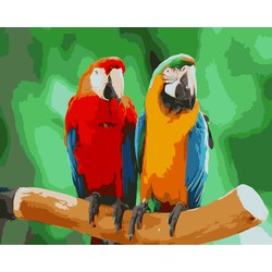 Twisk  Schilderen op nummer papegaaien PBND4003