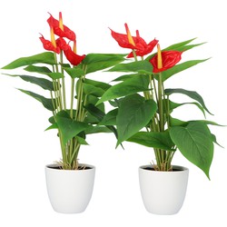 Kopu® 2 stuks Anthurium Kunstplant 40 cm - 3 bloemen - Flamingoplant