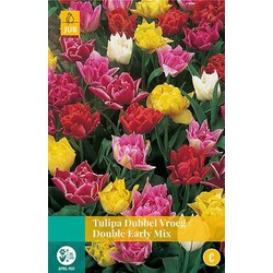 3 stuks - Tulipa Dubbel Vroeg mix 8 bollen