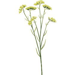 Statice spray green 67 cm Emerald