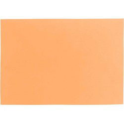 Unique Living - Placemat Fonz Apricot -33x48cm
