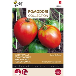 3 stuks - Pomodori cuor di bue