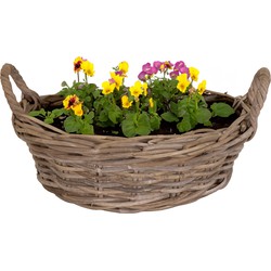 Mega Collections Planten/bloemen mand Levi - rotan - laag - D40 x H13 cm - plantenpot voor buiten - Plantenpotten