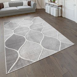 Laagpolig Modern Vloerkleed Sinovo - Grijs - 160x220 cm