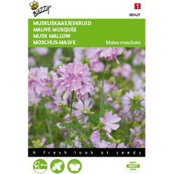 5 stuks - Samen Malva musk-cheesewort rosa - Buzzy