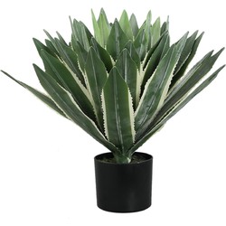 PTMD Kunstplant Succulent Plant - 70x70x50 cm - Polyester - Groen