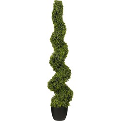 Mica Decorations Kunstplant Buxus - 25x25x150 cm - Polyethyleen - Groen