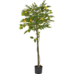 Beliani LEMON TREE - Kunstplant-Groen-Synthetisch materiaal